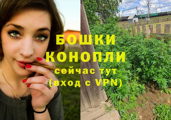 марки nbome Белокуриха